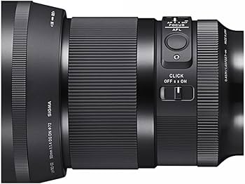 Amazon.com : Sigma 50mm F1.4 DG DN F for L Mount : Electronics